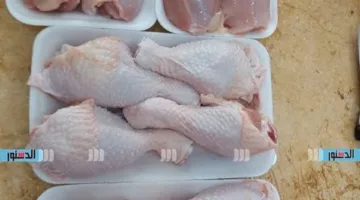 أسعار الدجاج والبط والأرانب في كفر الشيخ يوم الخميس 29 مايو 2025