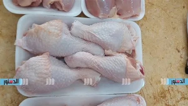 أسعار الدجاج والبط والأرانب في كفر الشيخ يوم الخميس 29 مايو 2025 أسعار الدجاج والبط والأرانب في كفر الشيخ يوم الخميس 29 مايو 2025