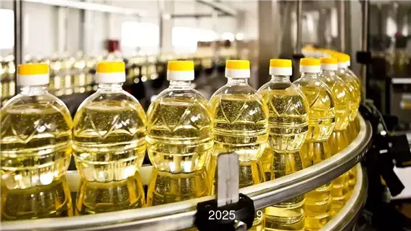 أسعار الزيت والسمن بالغربية اليوم الجمعة 9 مايو 2025