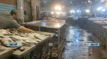 أسعار السمك والمنتجات البحرية اليوم في السويس