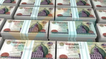 أسعار الفائدة على شهادات البنك الأهلي وبنك مصر بعد تخفيض المركزي بنسبة 1%