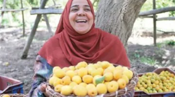 أسعار الفواكه في أسواق الإسكندرية اليوم الثلاثاء 20 مايو: المشمش بسعر 120 جنيهًا.
