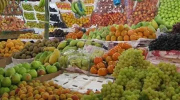 أسعار الفواكه في أسواق الإسكندرية يوم الأحد الحالي