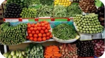 أسعار الفواكه والخضروات في أسواق الوادي الجديد