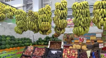 أسعار الفواكه والخضروات في الغردقة بتاريخ الأربعاء 21 مايو 2025
