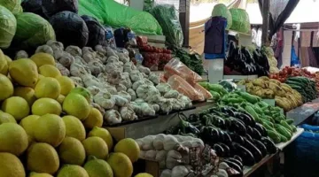 أسعار الفواكه والخضروات في محافظة الغربية اليوم الأربعاء 28 مايو 2025
