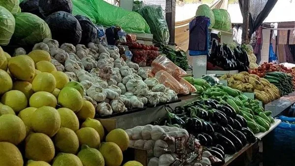 أسعار الفواكه والخضروات في محافظة الغربية اليوم الأربعاء 28 مايو 2025 أسعار الفواكه والخضروات في محافظة الغربية اليوم الأربعاء 28 مايو 2025