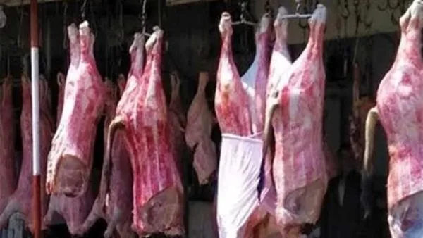 أسعار اللحوم في محافظة الإسكندرية اليوم الخميس