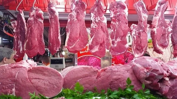 أسعار اللحوم ليوم الخميس 22 مايو 2025.. كم يبلغ سعر العرق الفلتو؟ أسعار اللحوم ليوم الخميس 22 مايو 2025.. كم يبلغ سعر العرق الفلتو؟