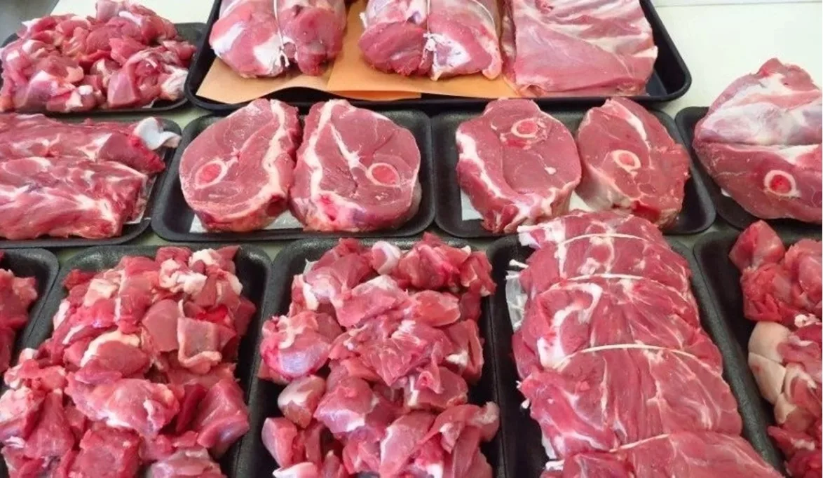 أسعار اللحوم والدجاج والأسماك يوم السبت 24 مايو 2025: الكندوز بسعر 420 جنيها أسعار اللحوم والدجاج والأسماك يوم السبت 24 مايو 2025: الكندوز بسعر 420 جنيها