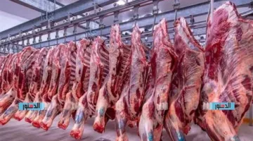 أسعار اللحوم في الإسماعيلية اليوم، الإثنين 26 مايو
