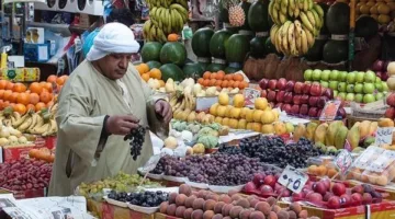 أسعار جملة فواكه البشاير في سوق العبور: البرقوق، البطيخ، والمشمش ضمن القائمة.
