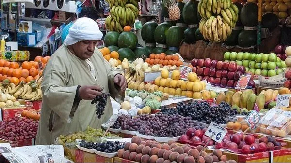 أسعار جملة فواكه البشاير في سوق العبور: البرقوق، البطيخ، والمشمش ضمن القائمة. أسعار جملة فواكه البشاير في سوق العبور: البرقوق، البطيخ، والمشمش ضمن القائمة.