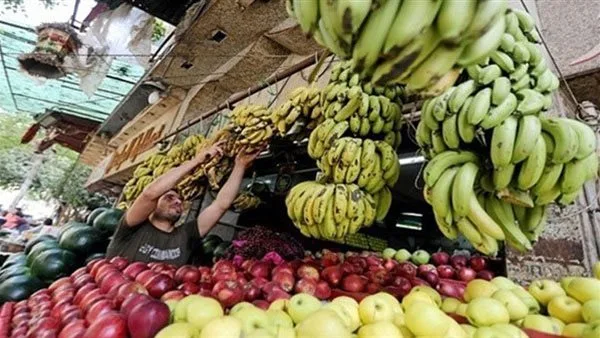 أسواق قنا اليوم.. استقرار نسبي في أسعار الفاكهة