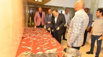 أسيوط تحقق نجاحًا في تجديد 1600 جهاز جراحي وتوفر ملايين الجنيهات