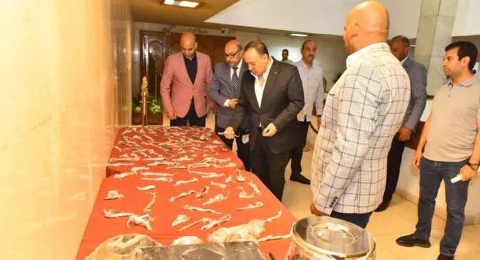 أسيوط تحقق نجاحًا في تجديد 1600 جهاز جراحي وتوفر ملايين الجنيهات أسيوط تحقق نجاحًا في تجديد 1600 جهاز جراحي وتوفر ملايين الجنيهات
