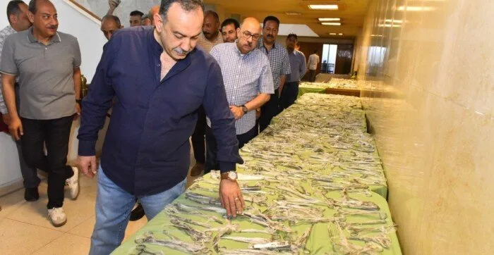 أسيوط تعيد تشغيل 840 آلة جراحية معطلة.. جهوزية جديدة لتحسين الخدمات الصحية وتوفير الملايين أسيوط تعيد تشغيل 840 آلة جراحية معطلة.. جهوزية جديدة لتحسين الخدمات الصحية وتوفير الملايين