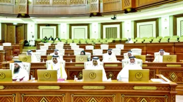 أعضاء الشورى: الدعم الزراعي غير كافٍ.. وفاتورة الكهرباء تمثل عبئًا كبيرًا