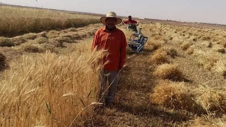 أعطيت الزكاة للفقير ثم اشتريتها منه فهل يجوز؟ دار الإفتاء تجيب