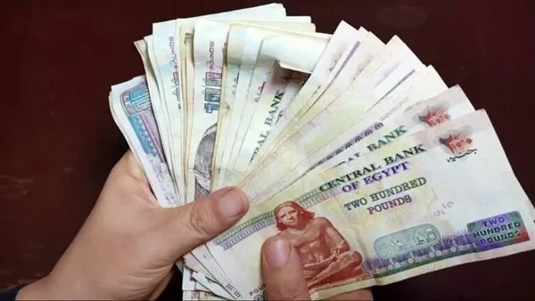 أفضل شهادات الادخار في برنامج بنكنوت لعام 2025 أفضل شهادات الادخار في برنامج بنكنوت لعام 2025