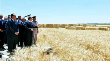 أفضل من أرض الخير: الرئيس السيسي يطلق المرحلة الأولى من مدينة مستقبل مصر الصناعية