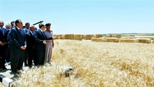أفضل من أرض الخير: الرئيس السيسي يطلق المرحلة الأولى من مدينة مستقبل مصر الصناعية أفضل من أرض الخير: الرئيس السيسي يطلق المرحلة الأولى من مدينة مستقبل مصر الصناعية