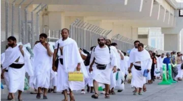 أكثر من 500 ألف حاج يصلون إلى المملكة تحضيراً لموسم 1446 هـ