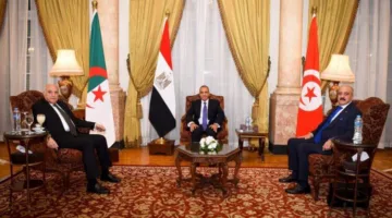 أمريكا تدعم التعاون بين مصر والجزائر وتونس لتعزيز السلام في ليبيا