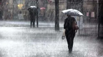 أمطار مصحوبة بالرعد ورياح.. اكتشف تفاصيل “التوقعات الجوية” ليوم السبت بعد أحداث الإسكندرية