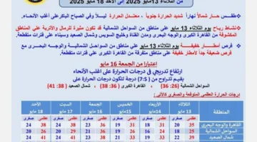 أمطار ورياح عاصفة.. الأرصاد تحذر من حالة الطقس خلال الأيام الخمسة المقبلة