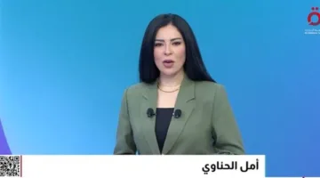 أمل الحناوي: تغيير في الموقف الأوروبي تجاه الاعتداء الإسرائيلي على غزة