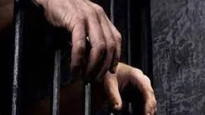 أمن القاهرة يتحفظ على سائق تريلا اقتحم معرض سيارات شهير بالقطامية