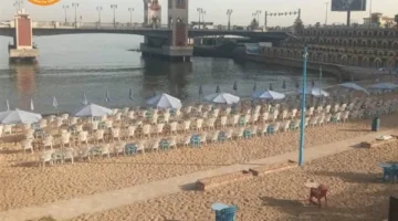 أمواج هادئة.. رفع الراية الخضراء على شواطئ شرق الإسكندرية هدوء الأمواج.. رفع الراية الخضراء على سواحل شرق الإسكندرية