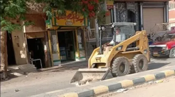 أنشطة الوحدة المحلية في مركزي ببا والفشن بمحافظة بني سويف