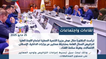 أنشطة وفعاليات “التنمية المحلية” خلال أسبوع (إنفوجرافيك)