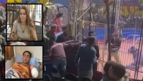 أنوسة كوته تكشف في تحقيقات قضية عامل السيرك: عائلتي تتخصص في تدريب النمور ولدينا أسود نستوردها من جنوب إفريقيا.