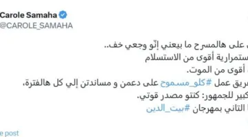 أول تعليق لكارول سماحة على انتقادات عودتها إلى العمل بعد رحيل زوجها