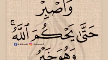 أول رد من مها الصغير عقب انفصالها عن أحمد السقا