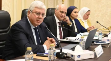 أيمن عاشور: 30% من حجم النشر الدولي في مصر تُستغل من قِبل آخرين وتحول إلى صناعة