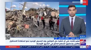 إبادة جماعية للأطفال وتدمير شامل للبنية التحتية: آخر المستجدات في غزة (فيديو)