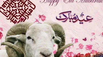 إجازة عيد الأضحى 2025 تقترب، كم تبقى من الأيام؟