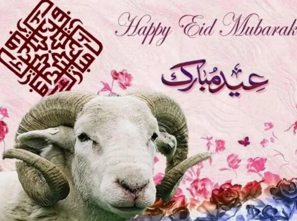 إجازة عيد الأضحى 2025 تقترب، كم تبقى من الأيام؟
