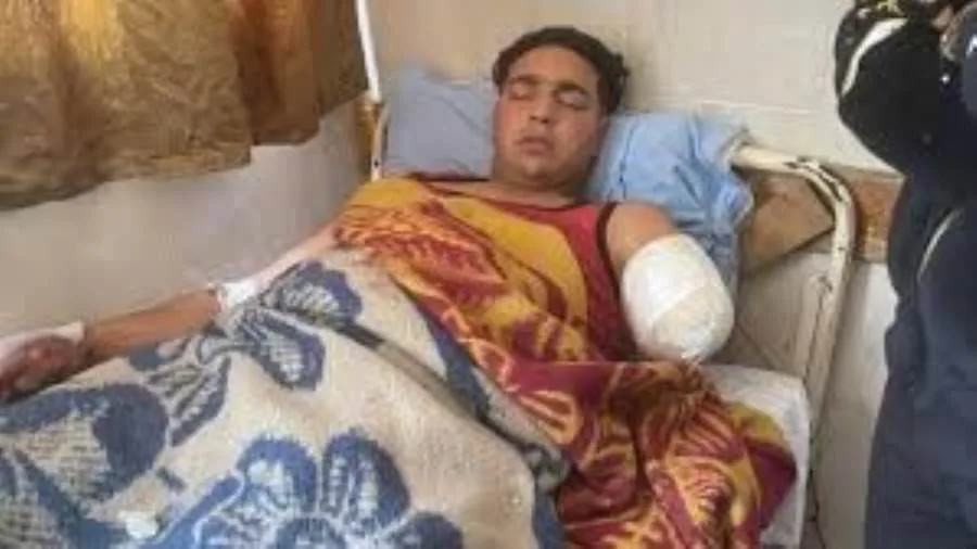 إحالة "مدربة الأسود" للمحاكمة في واقعة سيرك طنطا