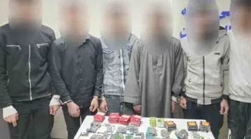 إحالة عصابة لسرقة الكابلات الكهربائية في منشأة ناصر إلى القضاء