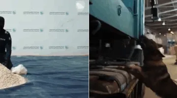 إحباط خمس محاولات لتهريب 240 ألف حبة من عقار “إمفيتامين” المخدر.