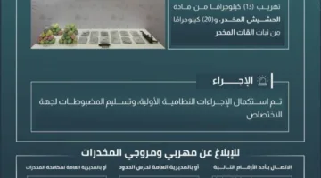 إحباط عملية تهريب 13 كيلوجراماً من الحشيش و20 كيلوجراماً من القات في الربوعة