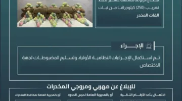 إحباط محاولة تهريب (250) كجم من القات في الربوعة