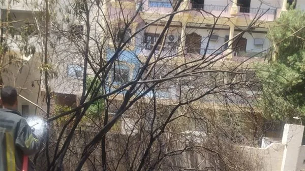 إخماد حريق صغير في المدرسة الفندقية المتقدمة بأسوان إخماد حريق صغير في المدرسة الفندقية المتقدمة بأسوان