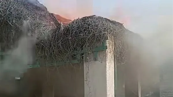 إخماد حريق صغير في مقابر بورسعيد دون حدوث إصابات إخماد حريق صغير في مقابر بورسعيد دون حدوث إصابات