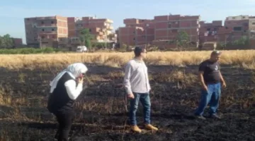 إخماد حريق في محصول القمح بعزبة المعلم بالمنوفية